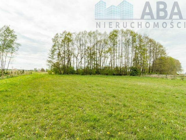 Słodków Kolonia - duża działka inwestycyjna na sprzedaż