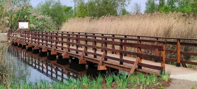 Wbijanie bicie pali pomosty na palach