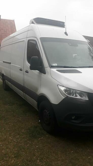 Usługi transportowe - chłodnia