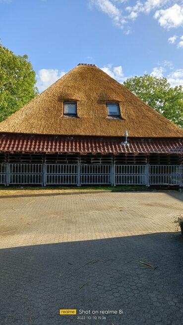 Altanki, altany, dachy, trzcina