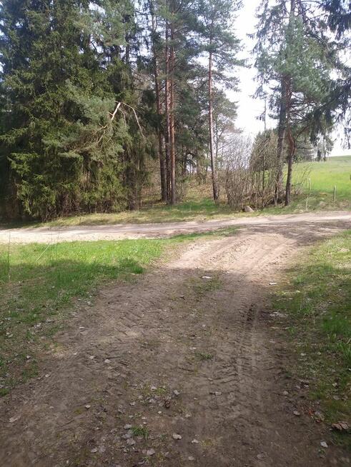 Sprzedam działkę leśną