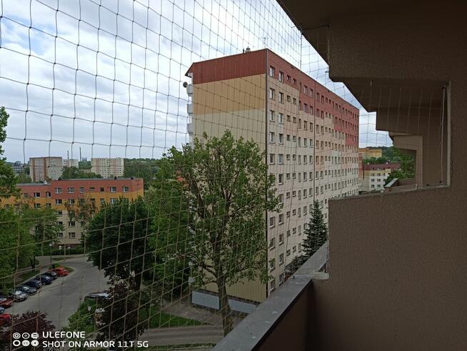 Montaż siatek przeciw ptakom