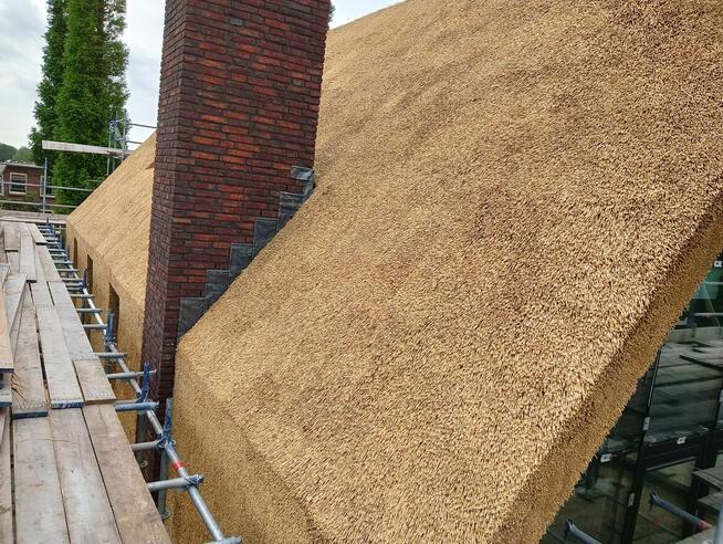 Altanki altany , Dachy, trzcina strzecha