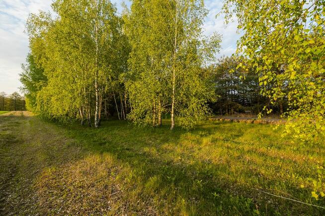 Urokliwe działki z dostępem do rzeki Narew