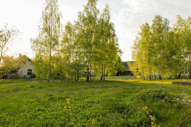 Urokliwe działki z dostępem do rzeki Narew