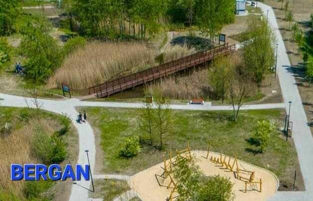 Budowa pomostów kładek ścieżek drewnianych wbijanie pali