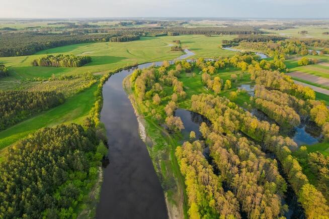 Urokliwe działki z dostępem do rzeki Narew