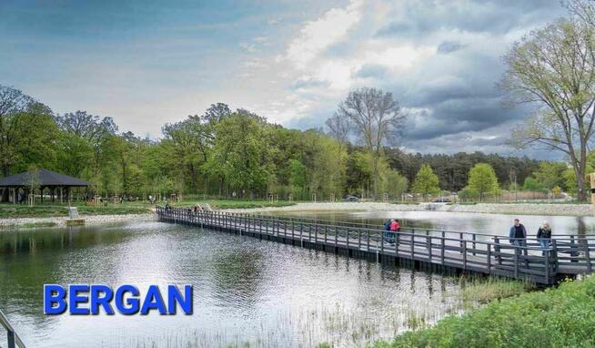 Budowa pomostów kładek ścieżek drewnianych wbijanie pali