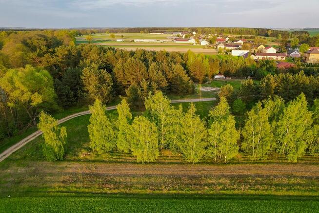 Urokliwe działki z dostępem do rzeki Narew