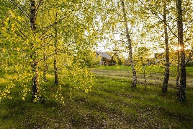 Urokliwe działki z dostępem do rzeki Narew