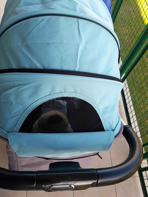 WÓZEK SPACEROWY TULIPO TURKUS COTO BABY