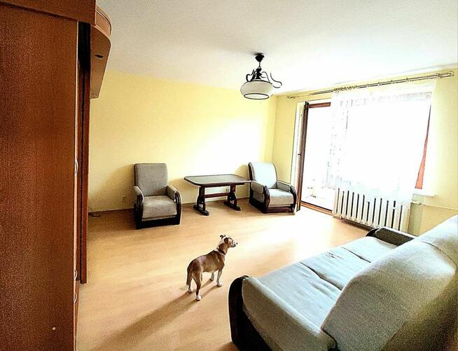 Centrum Wroclawia 3 pokoje