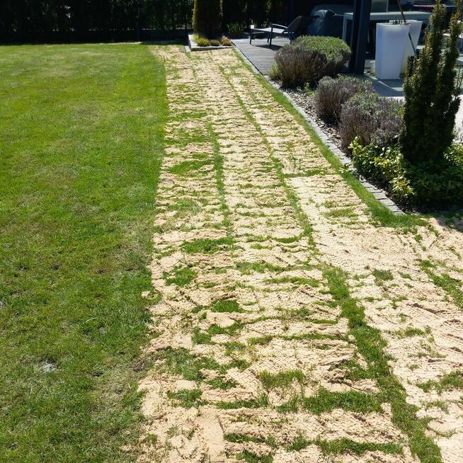 Aeracjia rurkowa otworowa, Piaskowanie topdresing trawnika