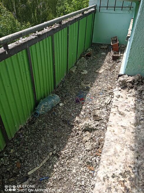 Montaż siatek przeciw ptakom