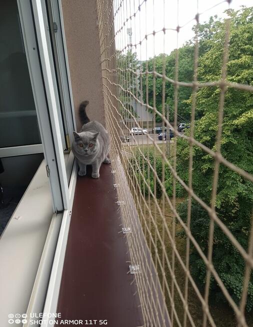 Montaż siatek przeciw ptakom