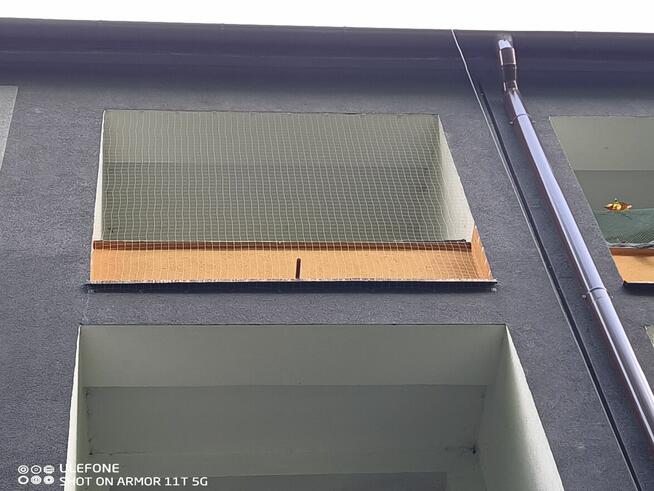 Montaż siatek przeciw ptakom