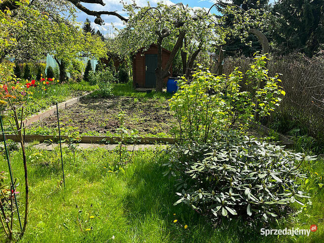 Działka ROD Szczęśliwice