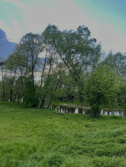 Działka budowlana Rekreacyjna Grabia gmina siedziejowice