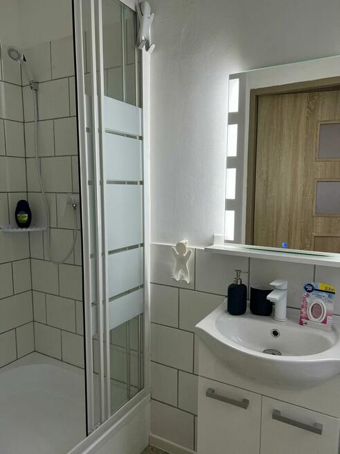 Mieszkanie do wynajęcia