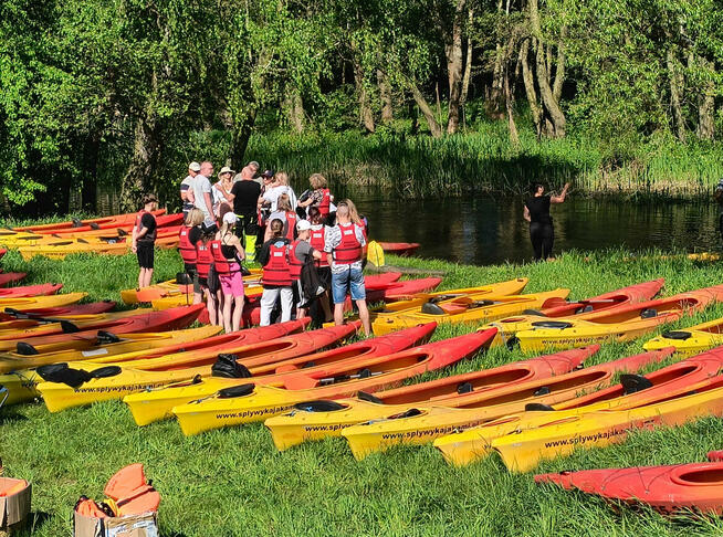 Działka budowlana Rekreacyjna Grabia gmina siedziejowice