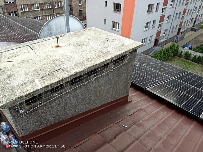 Montaż siatek przeciw ptakom