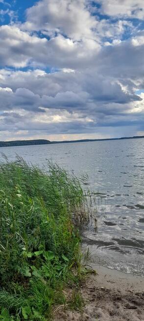 działka leśna swornegacie