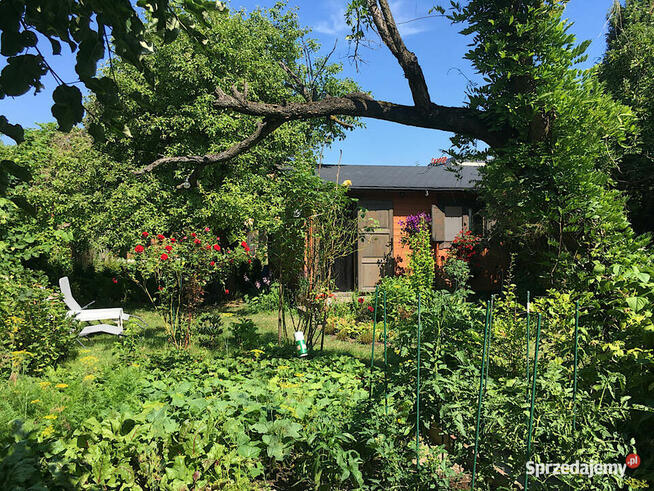 Działka ROD Szczęśliwice