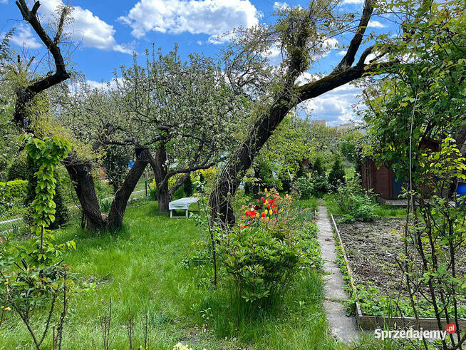 Działka ROD Szczęśliwice