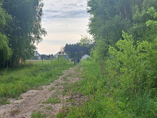 Działka pod zabudowę w klimacie leśnym