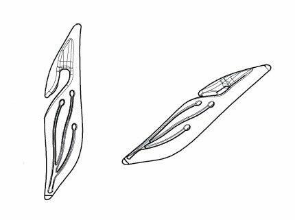 ROLETY MINI w KASECIE DZIEŃ NOC PRODUCENT JAKOŚĆ