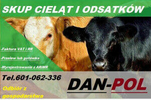 SKUP CIELĄT I ODSADKÓW DAN-POL
