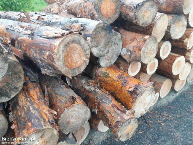 Drewno opałowe buk, grab, brzoza oraz iglaste, dowóz gratis!