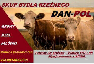 SKUP BYDŁA DAN-POL