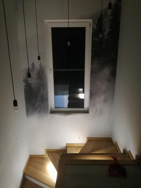 Elektrolan Usługi elektryczne.