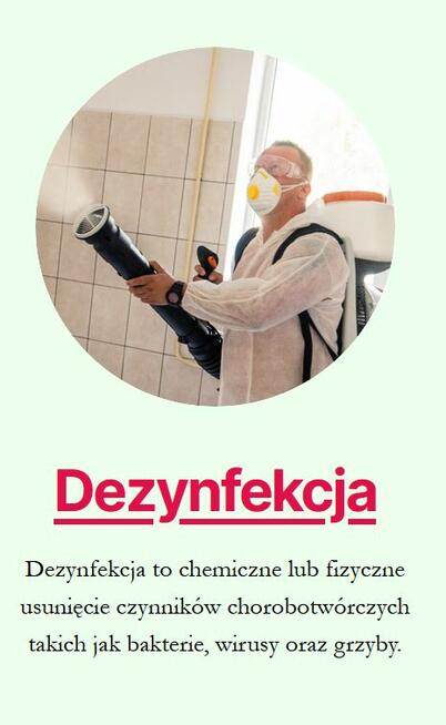 Dezynsekcja - karaluchy, pluskwy, mrówki, osy, świerzbowiec