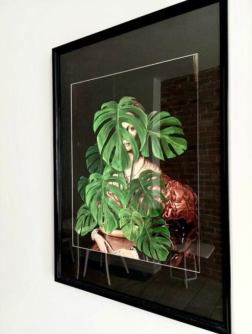 apartament MONSTERA-dni, tygodnie, miesiące