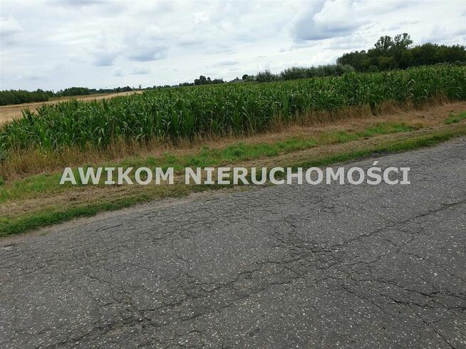 Działka budowlana Baranów Cegłów