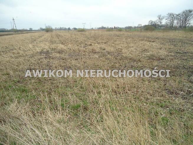 Działka siedliskowa Błonie Wola Łuszczewska