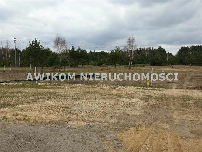 Działka siedliskowa Żabia Wola