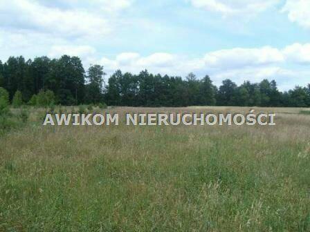 Działka Basin gm. Baranów