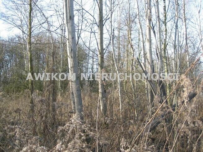 Działka budowlana Milanówek Milanówek