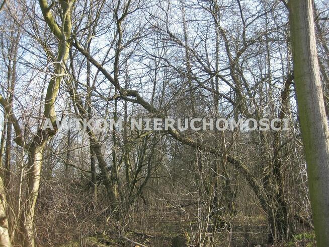 Działka budowlana Milanówek Milanówek