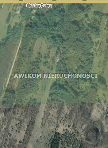 Działka Żabia Wola Słubica Dobra