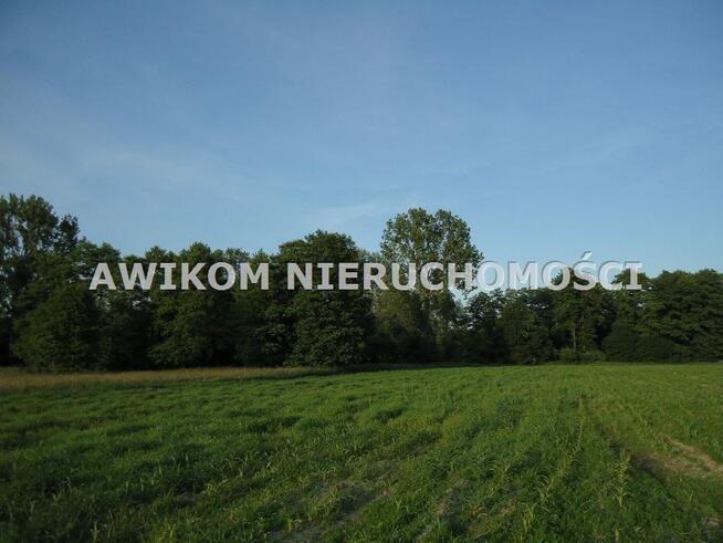 Działka Jaktorów Jaktorów/Budy Zosine