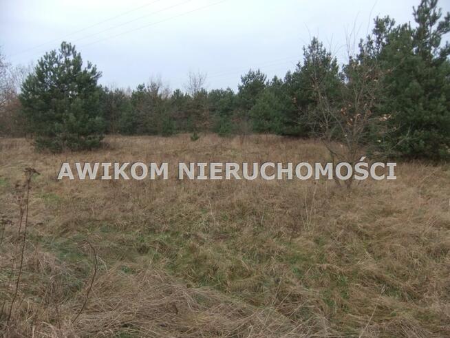 Działka rolna Skierniewice Rawka