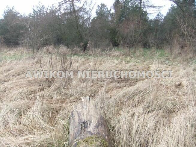 Działka rolna Skierniewice Rawka