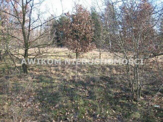 Działka budowlana Milanówek Milanówek