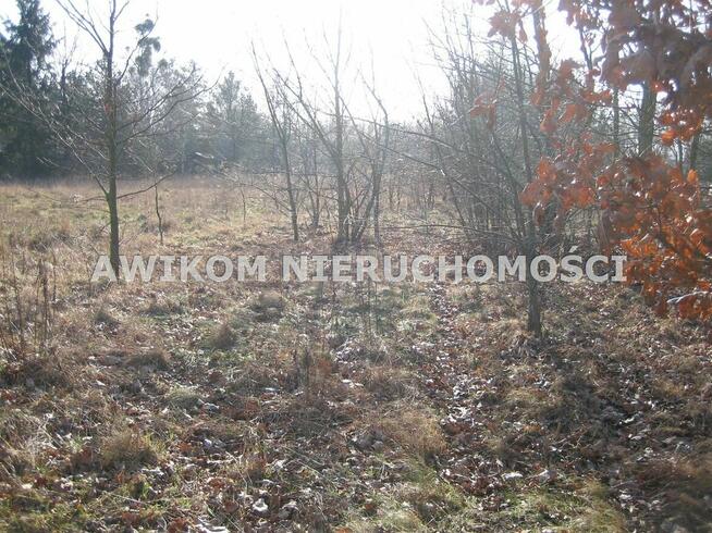 Działka budowlana Milanówek Milanówek