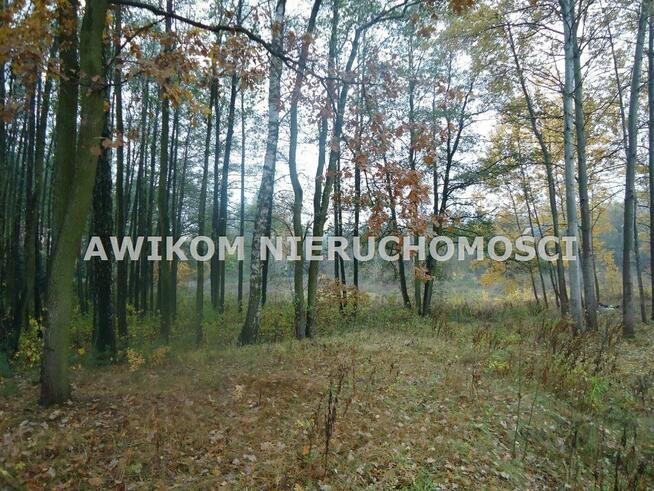 Działka Adamowice gm. Mszczonów