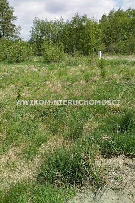 Działka budowlana Jaktorów Chylice